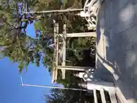 寒川神社(神奈川県)