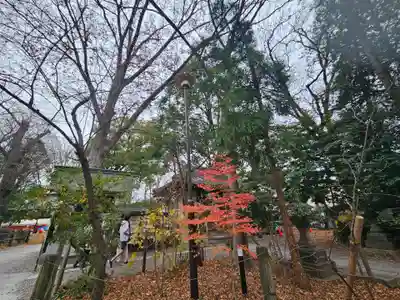 調神社(埼玉県)