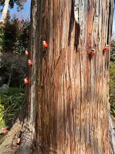勝尾寺の{uncategorized: "未分類", other: "その他", undefined: "問題あり", building: "その他建物", grave: "お墓", sacred_gate: "鳥居", guardian: "狛犬", statue: "像", buddha: "仏像", history: "歴史", nature: "自然", garden: "庭園", animal: "動物", pagoda: "塔", temizu: "手水舎", mountain_gate: "山門・神門", sanctuary: "本殿・本堂", subordinate: "末社・摂社", art: "芸術", scenery: "景色", jizo: "地蔵", ema: "絵馬", goshuin: "御朱印", omikuji: "おみくじ", items: "授与品その他", amulet: "お守り", goshuincho: "御朱印帳", eats: "食事", festival: "お祭り", votive_dance: "神楽", shichigosan: "七五三参", wedding: "結婚式", experience: "体験その他", initially: "初詣", around: "周辺", anti_infection: "感染症対策"}