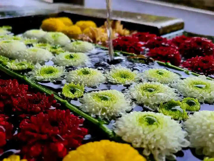 岳温泉神社 の手水舎