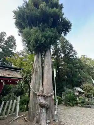 八幡神社(岐阜県)