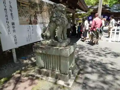 猿田彦神社の狛犬