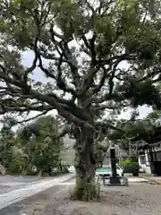 法華経寺(千葉県)