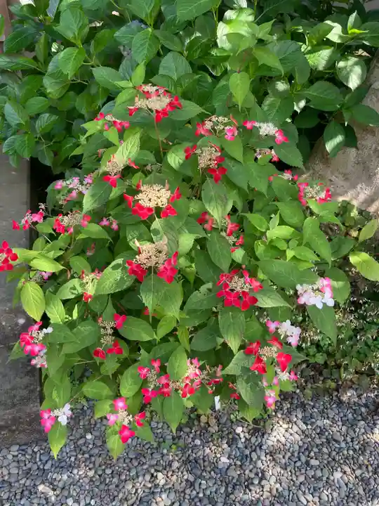 佛日庵(神奈川県)