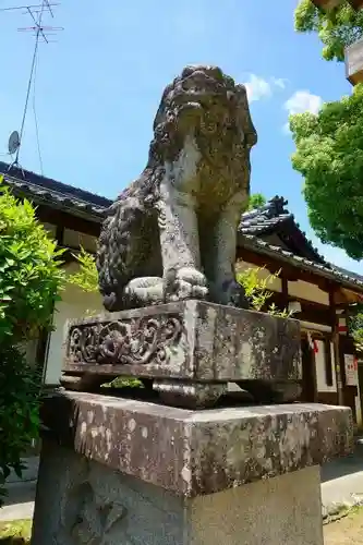 大直禰子神社の狛犬