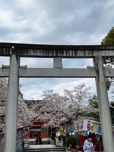 富士山本宮浅間大社(静岡県)