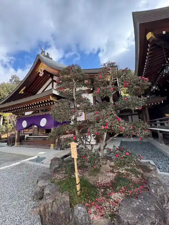 大神神社(奈良県)