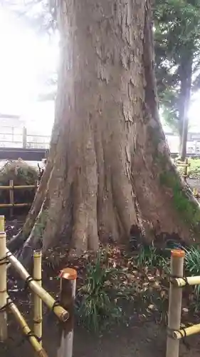 三嶋神社のその他建物
