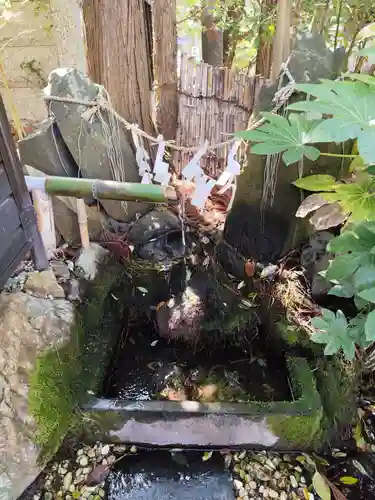 長浜八幡宮(滋賀県)