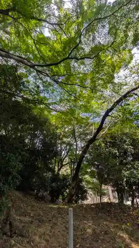 一様院(京都府)