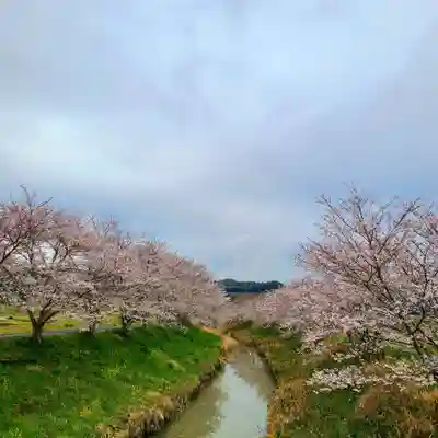 雨櫻神社(静岡県)