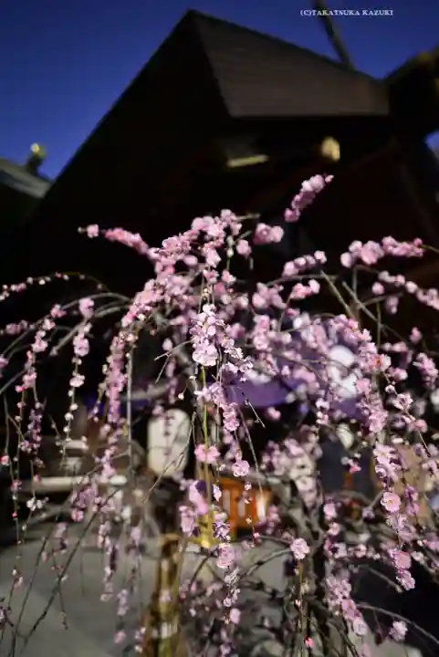 東京大神宮(東京都)