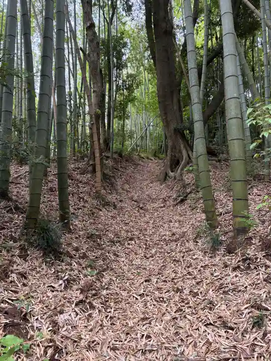 甘露寺(千葉県)