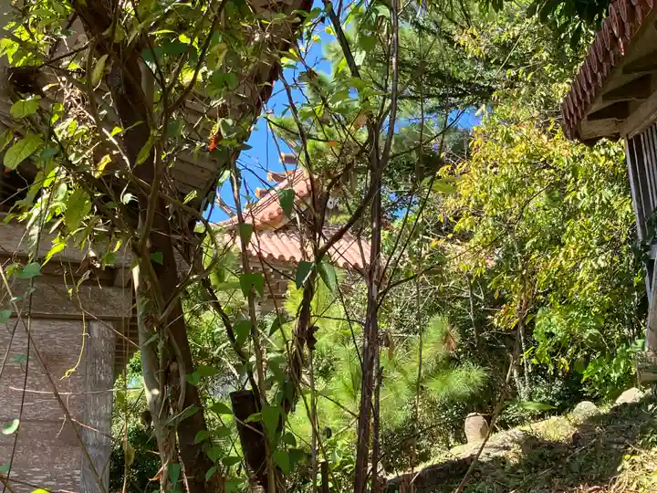 普天満宮の本殿・本堂