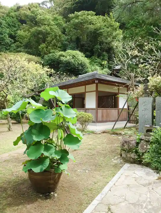 岩殿寺(神奈川県)