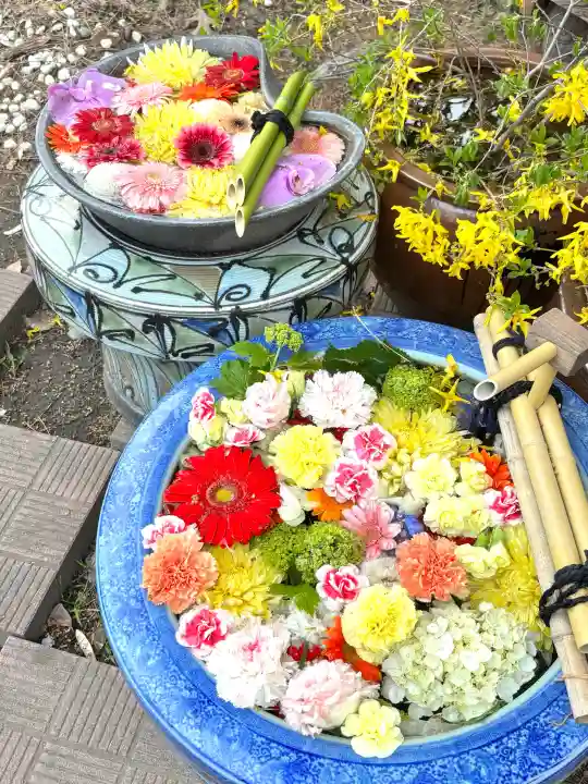 多賀神社の{uncategorized: "未分類", other: "その他", undefined: "問題あり", building: "その他建物", grave: "お墓", sacred_gate: "鳥居", guardian: "狛犬", statue: "像", buddha: "仏像", history: "歴史", nature: "自然", garden: "庭園", animal: "動物", pagoda: "塔", temizu: "手水舎", mountain_gate: "山門・神門", sanctuary: "本殿・本堂", subordinate: "末社・摂社", art: "芸術", scenery: "景色", jizo: "地蔵", ema: "絵馬", goshuin: "御朱印", omikuji: "おみくじ", items: "授与品その他", amulet: "お守り", goshuincho: "御朱印帳", eats: "食事", festival: "お祭り", votive_dance: "神楽", shichigosan: "七五三参", wedding: "結婚式", experience: "体験その他", initially: "初詣", around: "周辺", anti_infection: "感染症対策"}