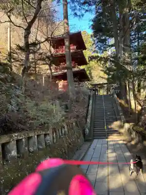 榛名神社の{uncategorized: "未分類", other: "その他", undefined: "問題あり", building: "その他建物", grave: "お墓", sacred_gate: "鳥居", guardian: "狛犬", statue: "像", buddha: "仏像", history: "歴史", nature: "自然", garden: "庭園", animal: "動物", pagoda: "塔", temizu: "手水舎", mountain_gate: "山門・神門", sanctuary: "本殿・本堂", subordinate: "末社・摂社", art: "芸術", scenery: "景色", jizo: "地蔵", ema: "絵馬", goshuin: "御朱印", omikuji: "おみくじ", items: "授与品その他", amulet: "お守り", goshuincho: "御朱印帳", eats: "食事", festival: "お祭り", votive_dance: "神楽", shichigosan: "七五三参", wedding: "結婚式", experience: "体験その他", initially: "初詣", around: "周辺", anti_infection: "感染症対策"}