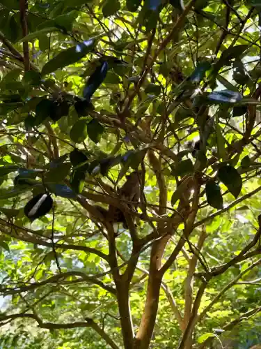 明月院(神奈川県)