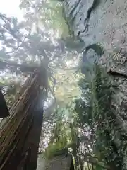 石神山精神社(宮城県)