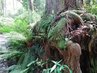 霧島神宮(鹿児島県)