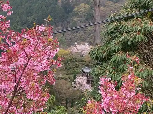 三鈷寺の景色