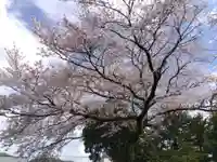 江守神社の自然