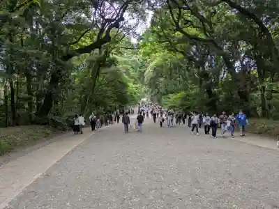 明治神宮(東京都)