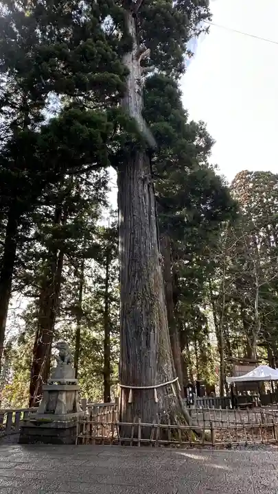 戸隠神社中社(長野県)