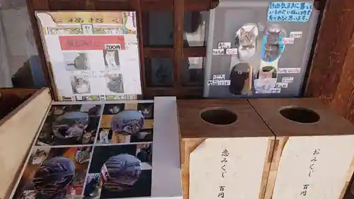 前玉神社のその他建物