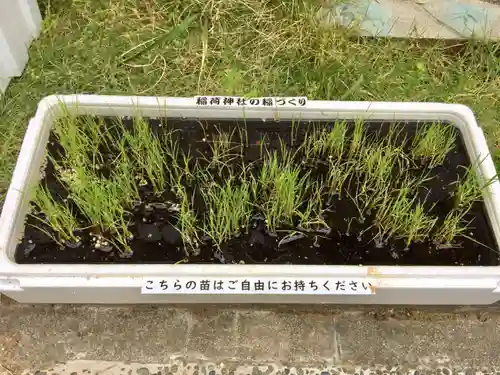 当代島稲荷神社(千葉県)