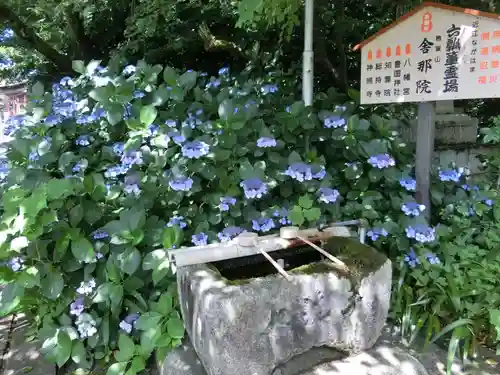 舎那院の手水舎
