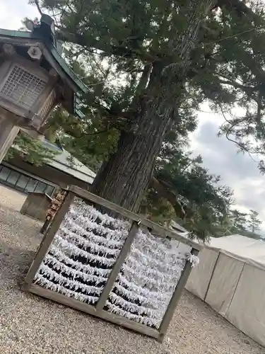 出雲大社のその他建物