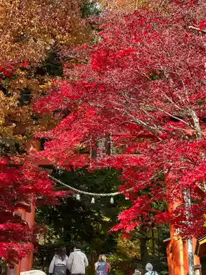 新倉富士浅間神社(山梨県)
