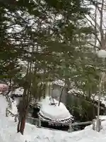 白石神社の景色