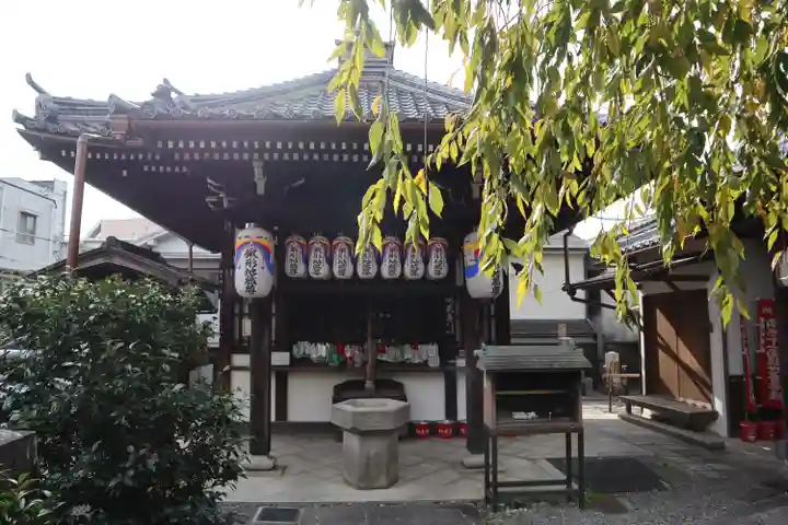 地蔵院(椿寺)(京都府)