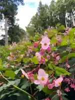 大雄寺(栃木県)