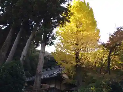 永勝寺(福岡県)
