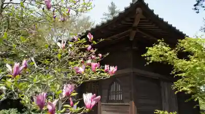 観音寺(千葉県)