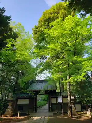 妙法寺(東京都)