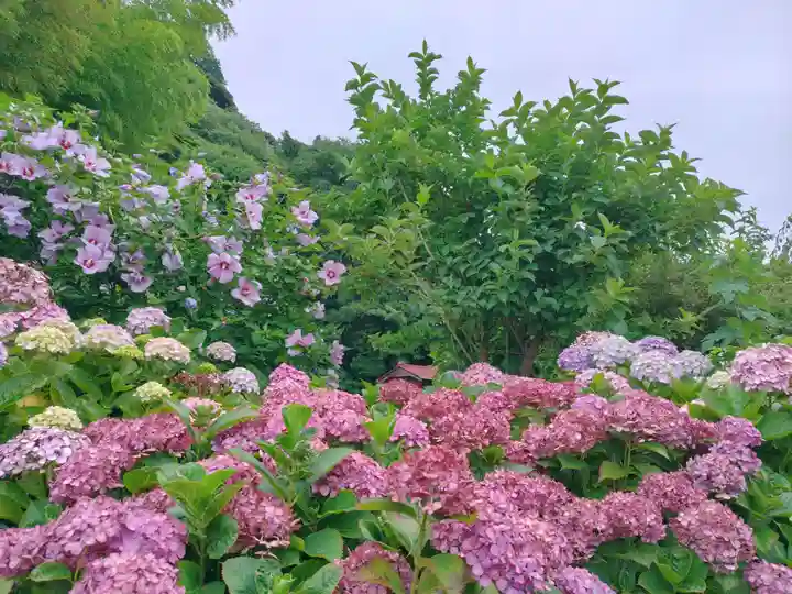 妙法寺(山崎)(神奈川県)