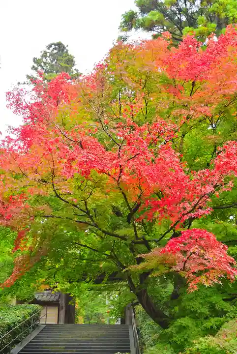 円覚寺(神奈川県)