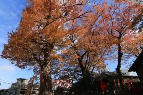 愛宕神社の景色