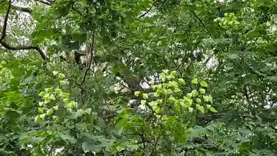 能護寺(埼玉県)