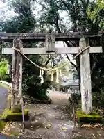 紫尾神社の鳥居
