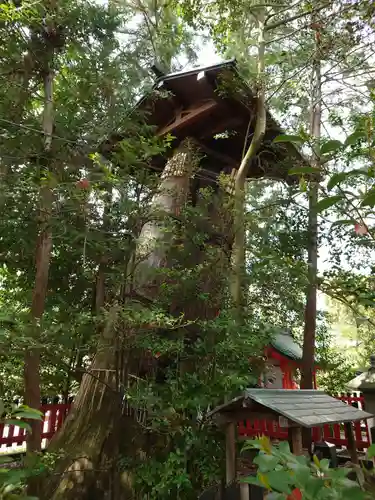 北野天満宮の自然