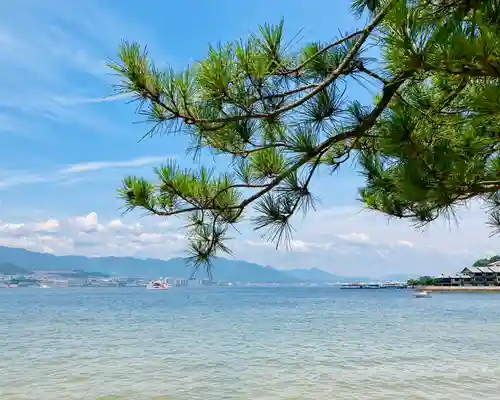 厳島神社の景色