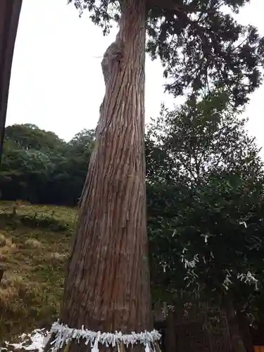 須我神社(島根県)
