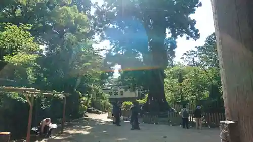 筑波山神社(茨城県)