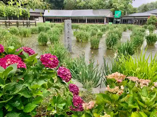 太宰府天満宮の庭園