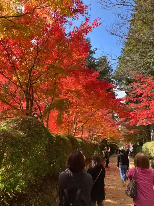 高野山金剛峯寺奥の院(和歌山県)